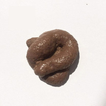 Classic Funny Realistic Fake Poop Gag Gift - Image 2