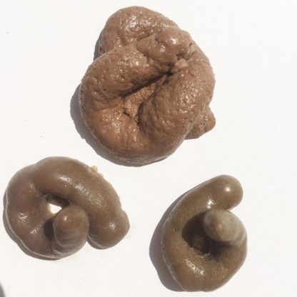 Disgustingly Realistic Prank Turds * Fake Poop Toys - Image 3